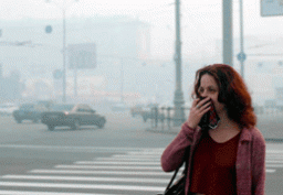 Загрязненный воздух провоцирует болезни почек