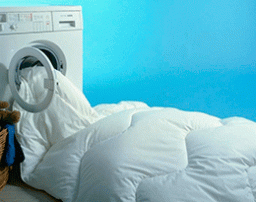 Одеяла и подушки –  как правильно стирать?