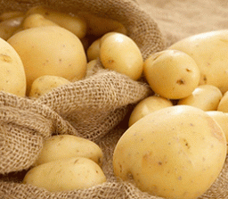 Неожиданная польза картофеля