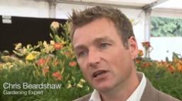 Известный британский садовод Крис Бирдшоу рекомендует включать для садовым растениям тяжелый рок.